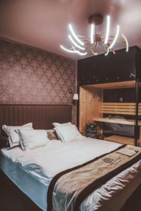 Luxurious Apartment, center of Katowice, NOSPR, SPODEK, MDK